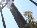 Μάρω Κοντού: Νέα μηνύματα έξω από το σπίτι της «Ελενίτσας» – «Καλό παράδεισο…»
