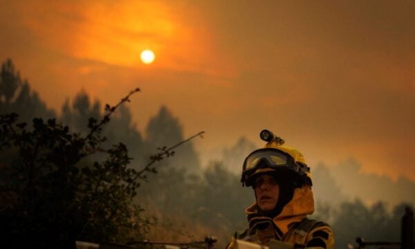 Μάχη με τις φλόγες στην Πορτογαλία: Τουλάχιστον 800 πυροσβέστες επιχειρούν για την κατάσβεση μεγάλης φωτιάς