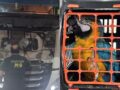 ΑΑΔΕ: Τι εντόπισαν οι ελεγκτές στα τελωνεία της χώρας στο Α’ εξάμηνο του 2026, από ναρκωτικά μέχρι παπαγάλους