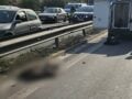 Χαϊδάρι: Αγριογούρουνο έκανε βόλτες δίπλα στην Εθνική Αθηνών – Κορίνθου και προκάλεσε τροχαίο