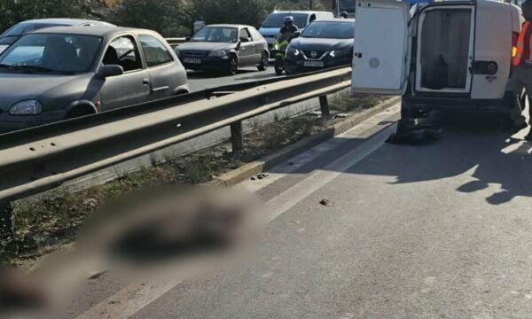 Χαϊδάρι: Αγριογούρουνο έκανε βόλτες δίπλα στην Εθνική Αθηνών – Κορίνθου και προκάλεσε τροχαίο