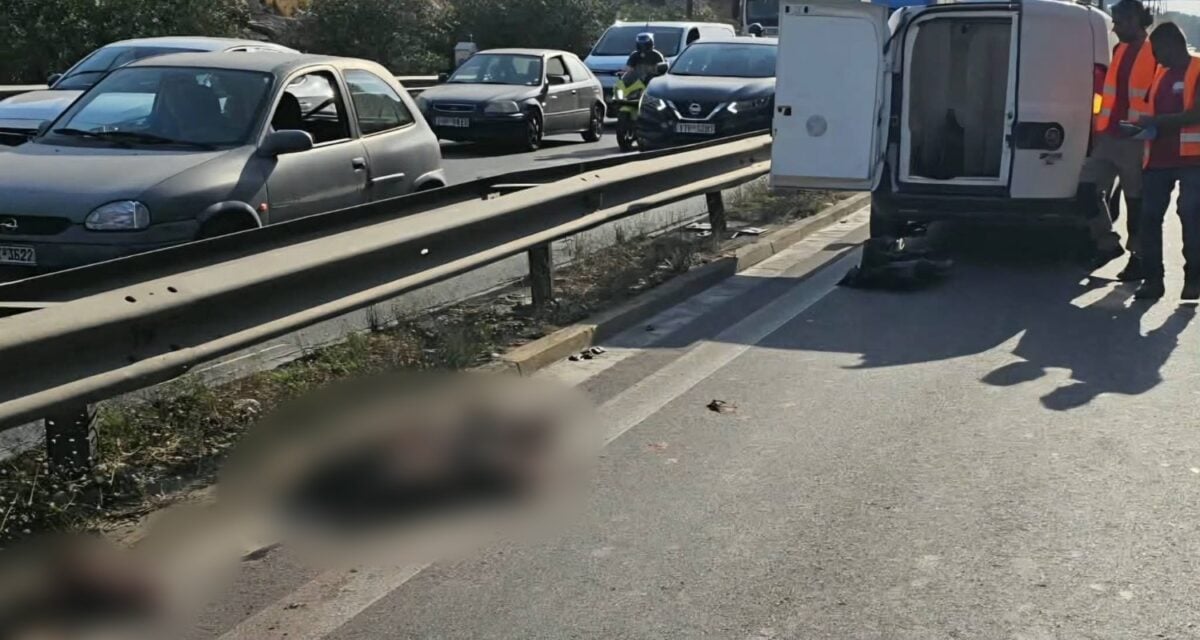 Χαϊδάρι: Αγριογούρουνο έκανε βόλτες δίπλα στην Εθνική Αθηνών – Κορίνθου και προκάλεσε τροχαίο