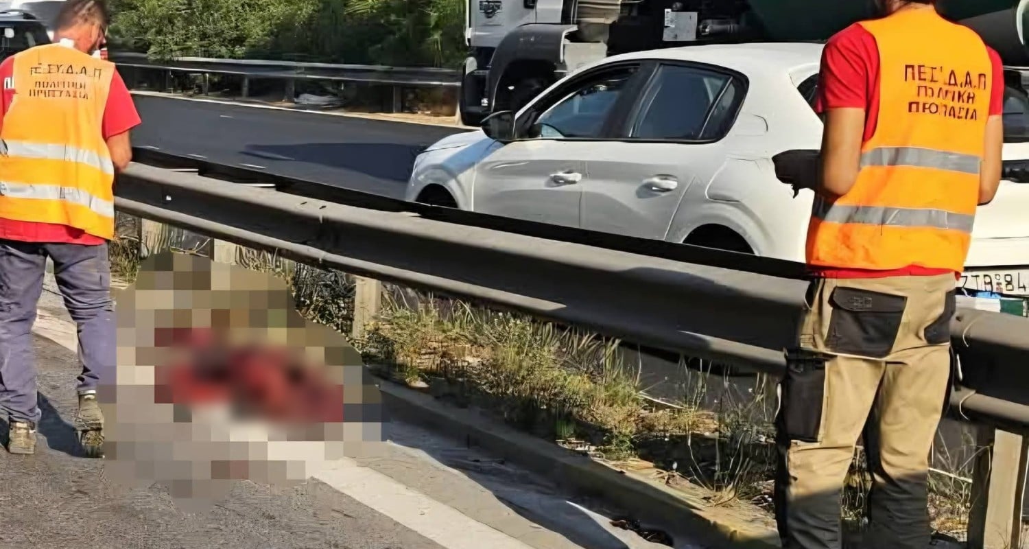 Χαϊδάρι: Αγριογούρουνο έκανε βόλτες δίπλα στην Εθνική Αθηνών – Κορίνθου και προκάλεσε τροχαίο 7 Χαϊδάρι: Αγριογούρουνο έκανε βόλτες δίπλα στην Εθνική Αθηνών – Κορίνθου και προκάλεσε τροχαίο