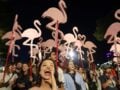 Ένταση στην Αλβανία για την επένδυση του γαμπρού του Τραμπ – Περιβαλλοντική ΜΚΟ καταγγέλλει οικολογική καταστροφή