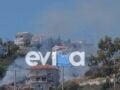 Φωτιά στην Εύβοια: Στο Αλιβέρι κοντά σε σπίτια