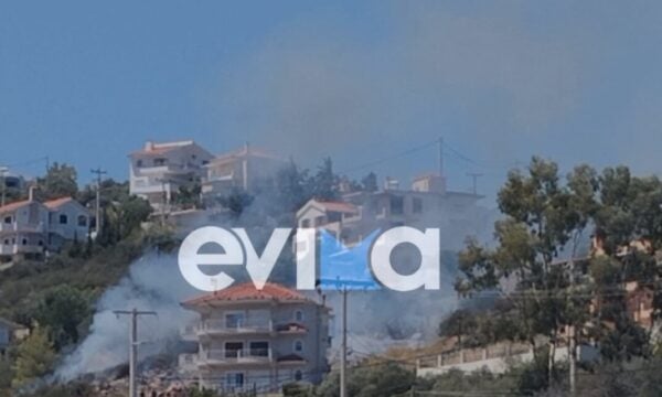 Φωτιά στην Εύβοια: Στο Αλιβέρι κοντά σε σπίτια