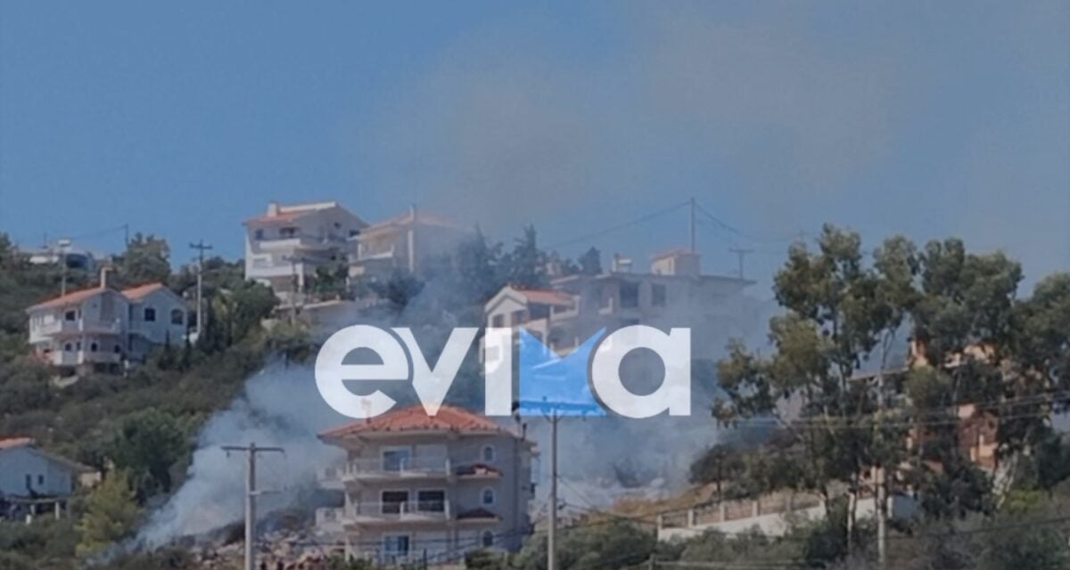 Φωτιά στην Εύβοια: Στο Αλιβέρι κοντά σε σπίτια