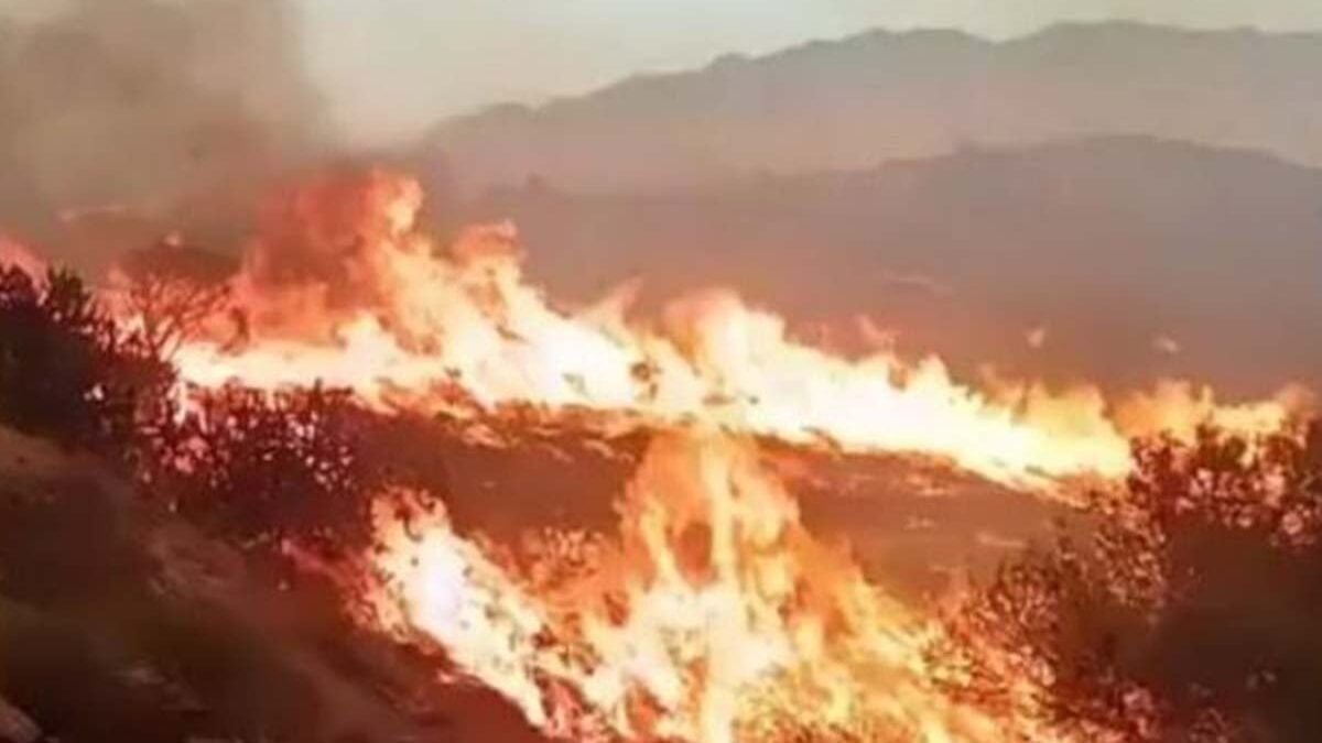 Δασική πυρκαγιά κοντά στην Αλμερία στην Ισπανία: Έξι νεκροί 1 Δασική πυρκαγιά κοντά στην Αλμερία στην Ισπανία: Έξι νεκροί