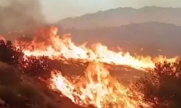 Δασική πυρκαγιά κοντά στην Αλμερία στην Ισπανία: Έξι νεκροί