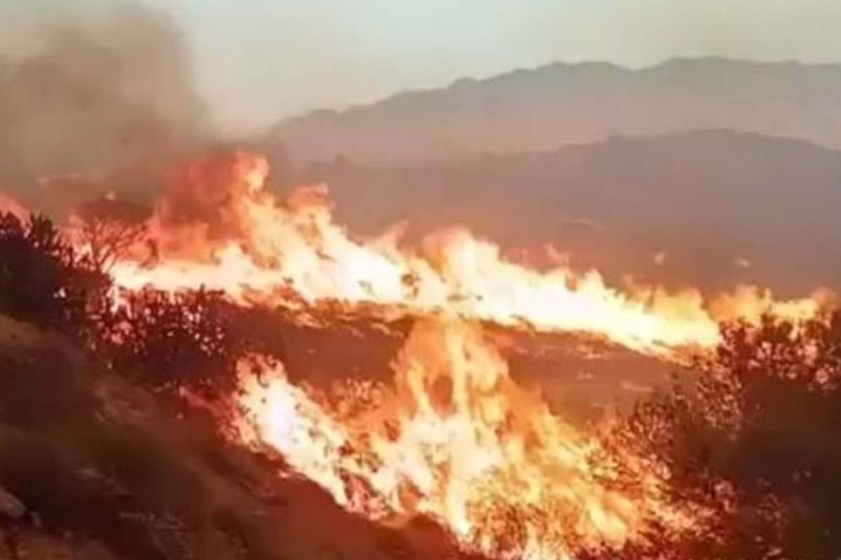 Δασική πυρκαγιά κοντά στην Αλμερία στην Ισπανία: Έξι νεκροί