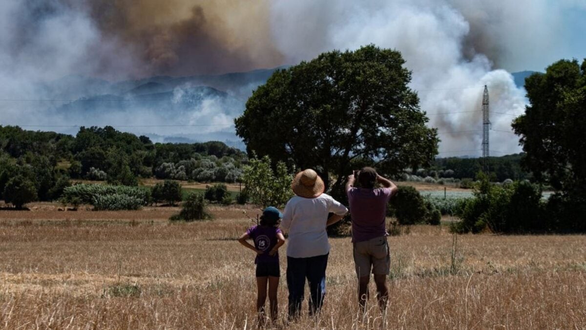 Κόστα Μπράβα: Η φωτιά έφτασε στα πρώτα σπίτια – Κάηκαν ήδη 24.000 στρέμματα 2 Κόστα Μπράβα: Η φωτιά έφτασε στα πρώτα σπίτια – Κάηκαν ήδη 24.000 στρέμματα