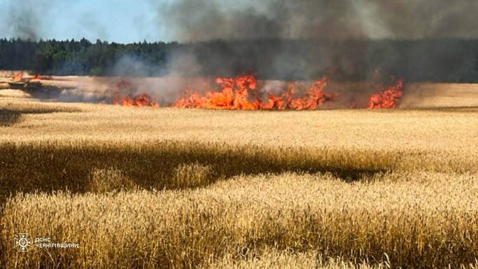 Ρωσικά πλήγματα σε όλη την Ουκρανία: 11 νεκροί και 62 τραυματίες το τελευταίο 24ωρο – Χτυπήθηκε εμπορικό πλοίο στο λιμάνι της Οδησσού 11 Πυρκαγιά σε καλλιέργεια σιτηρών μετά από ρωσική επίθεση στην περιφέρεια του Τσερνίχιβ.Πηγή: Κρατική Υπηρεσία Εκτάκτων Αναγκών της περιφέρειας Τσερνίχιβ.