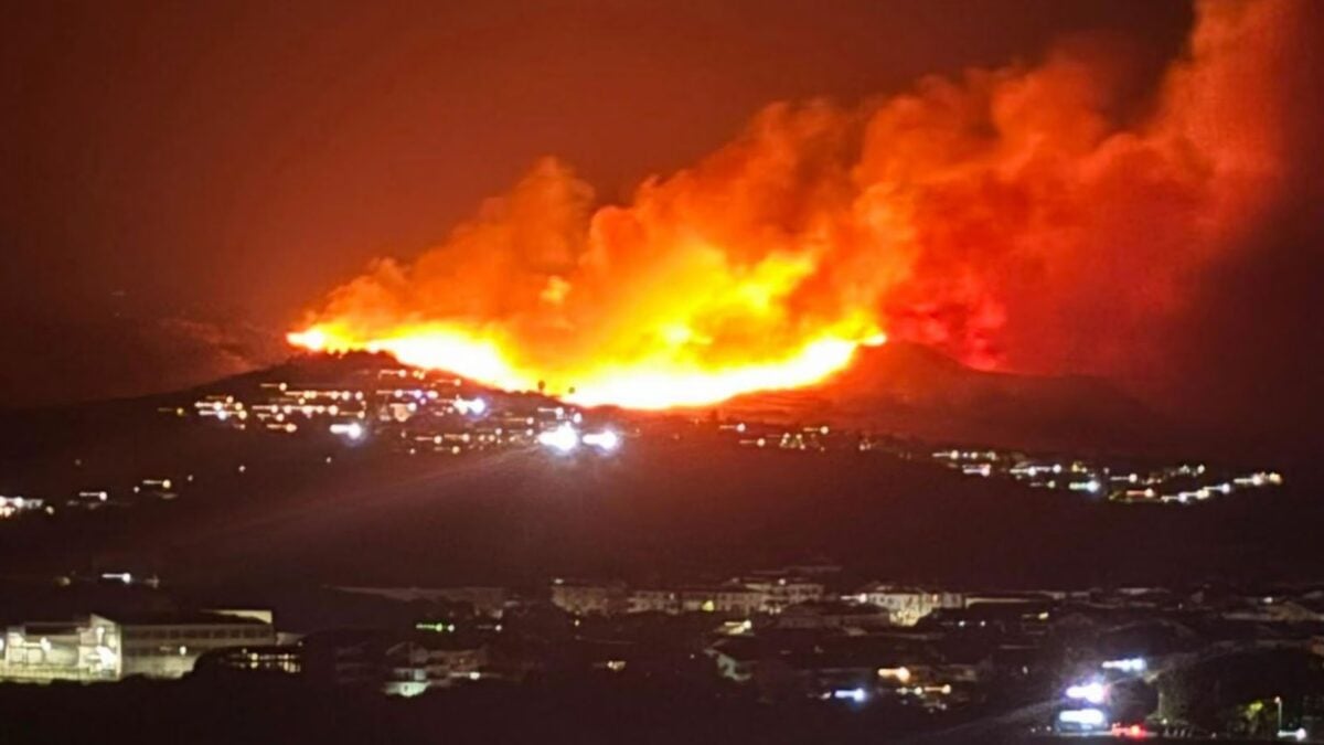 Ιταλία: Εμπρηστές έδεναν φλεγόμενα πανιά σε γάτες για να εξαπλώσουν τις φωτιές στην Καλαβρία 1 Ιταλία: Εμπρηστές έδεναν φλεγόμενα πανιά σε γάτες για να εξαπλώσουν τις φωτιές στην Καλαβρία