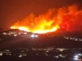 Ιταλία: Εμπρηστές έδεναν φλεγόμενα πανιά σε γάτες για να εξαπλώσουν τις φωτιές στην Καλαβρία