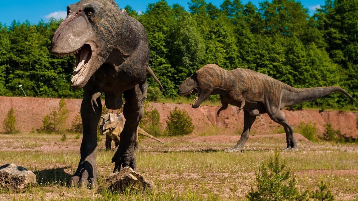 Uragasaurus kalasinensis: Νέο είδος δεινοσαύρου με μακρύ λαιμό στην Ταϊλάνδη 1 Uragasaurus kalasinensis: Νέο είδος δεινοσαύρου με μακρύ λαιμό στην Ταϊλάνδη