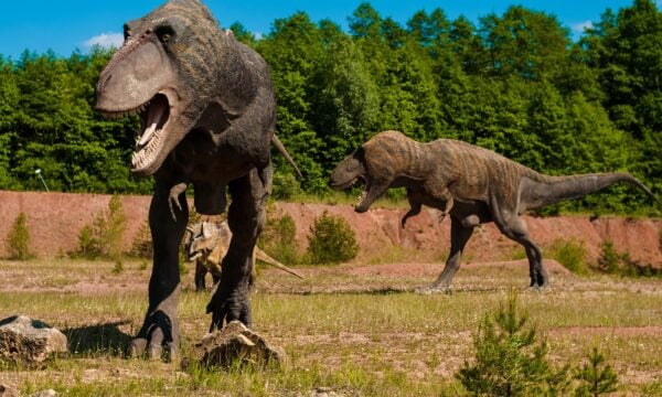 Uragasaurus kalasinensis: Νέο είδος δεινοσαύρου με μακρύ λαιμό στην Ταϊλάνδη