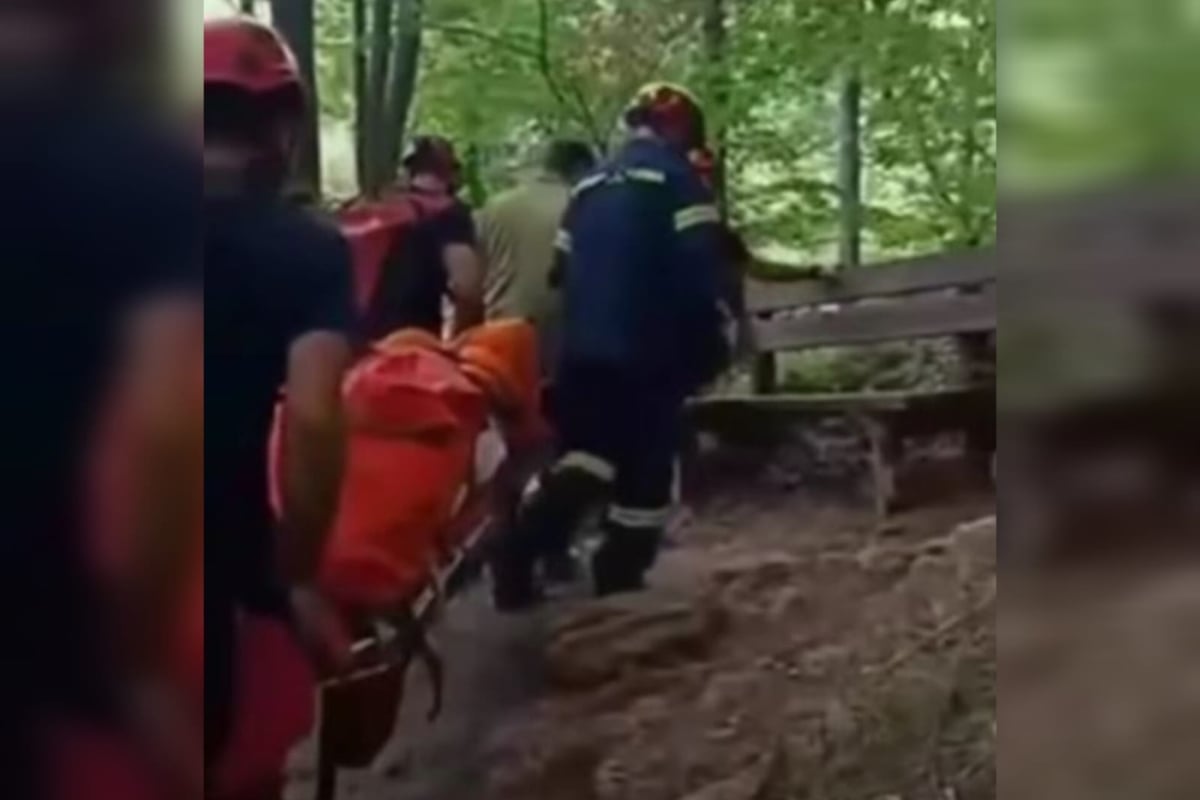 Δράμα: Επιχείρηση διάσωσης 46χρονης που τραυματίστηκε σε πεζοπορία στο Παρανέστι 5 Δράμα: Επιχείρηση διάσωσης 46χρονης που τραυματίστηκε σε πεζοπορία στο Παρανέστι