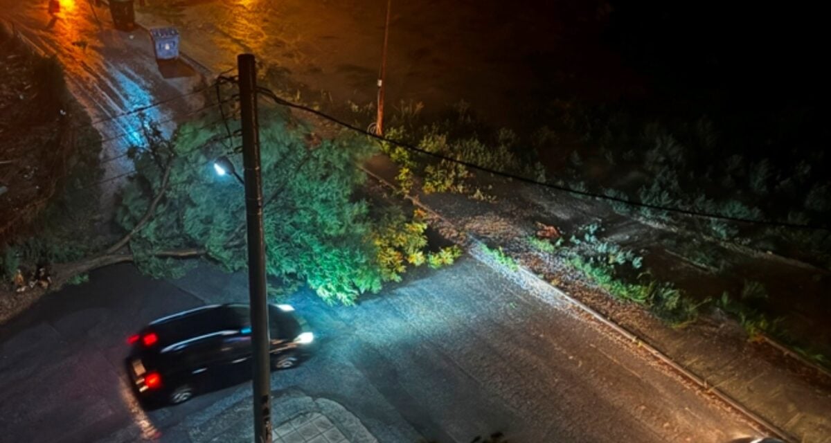 Δράμα: Ισχυρές καταιγίδες και πτώσεις δέντρων από την κακοκαιρία – Εγκλωβίστηκαν οδηγοί 1 Δράμα: Ισχυρές καταιγίδες και πτώσεις δέντρων από την κακοκαιρία – Εγκλωβίστηκαν οδηγοί