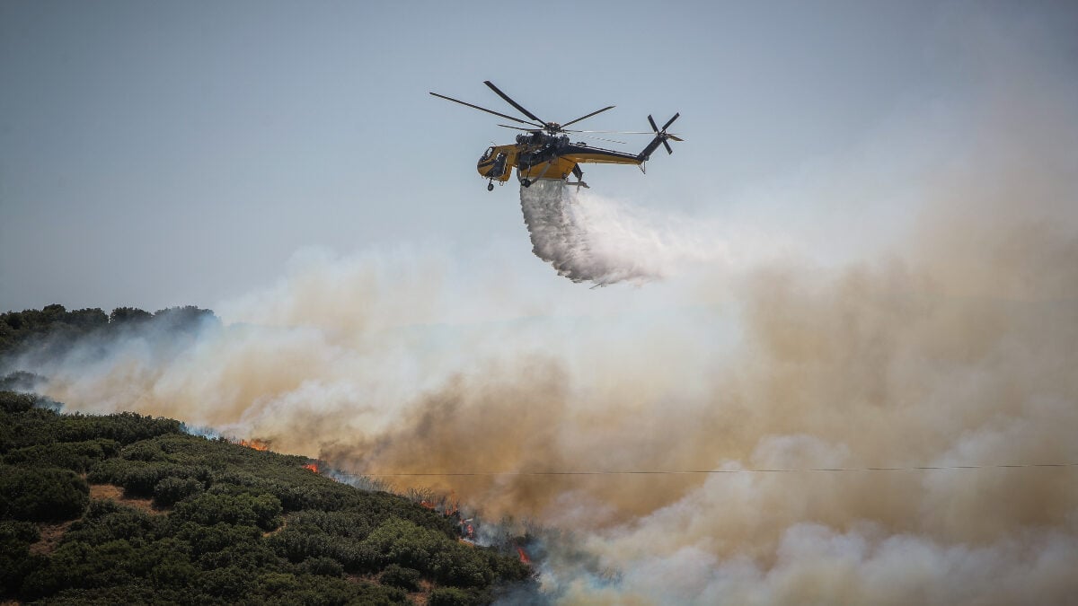 Φωτιά στην Τανάγρα: Ισχυρές δυνάμεις της πυροσβεστικής, σηκώθηκαν τέσσερα εναέρια μέσα 1 Φωτιά στην Τανάγρα: Ισχυρές δυνάμεις της πυροσβεστικής, σηκώθηκαν τέσσερα εναέρια μέσα