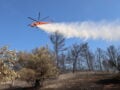 Φωτιά στην Επίδαυρο: Εναέρια μέσα επιχειρούν στην περιοχή Αδάμι