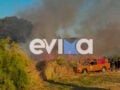 Εύβοια: Συναγερμός για φωτιά στην Ερέτρια