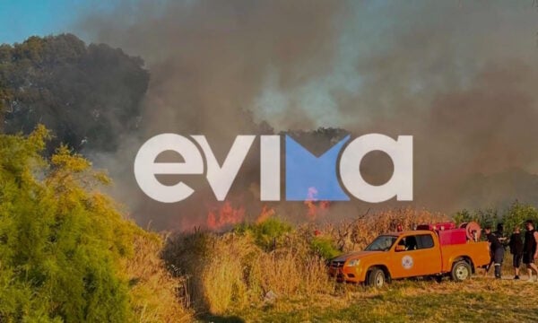 Εύβοια: Φωτιά στην Ερέτρια, συναγερμός