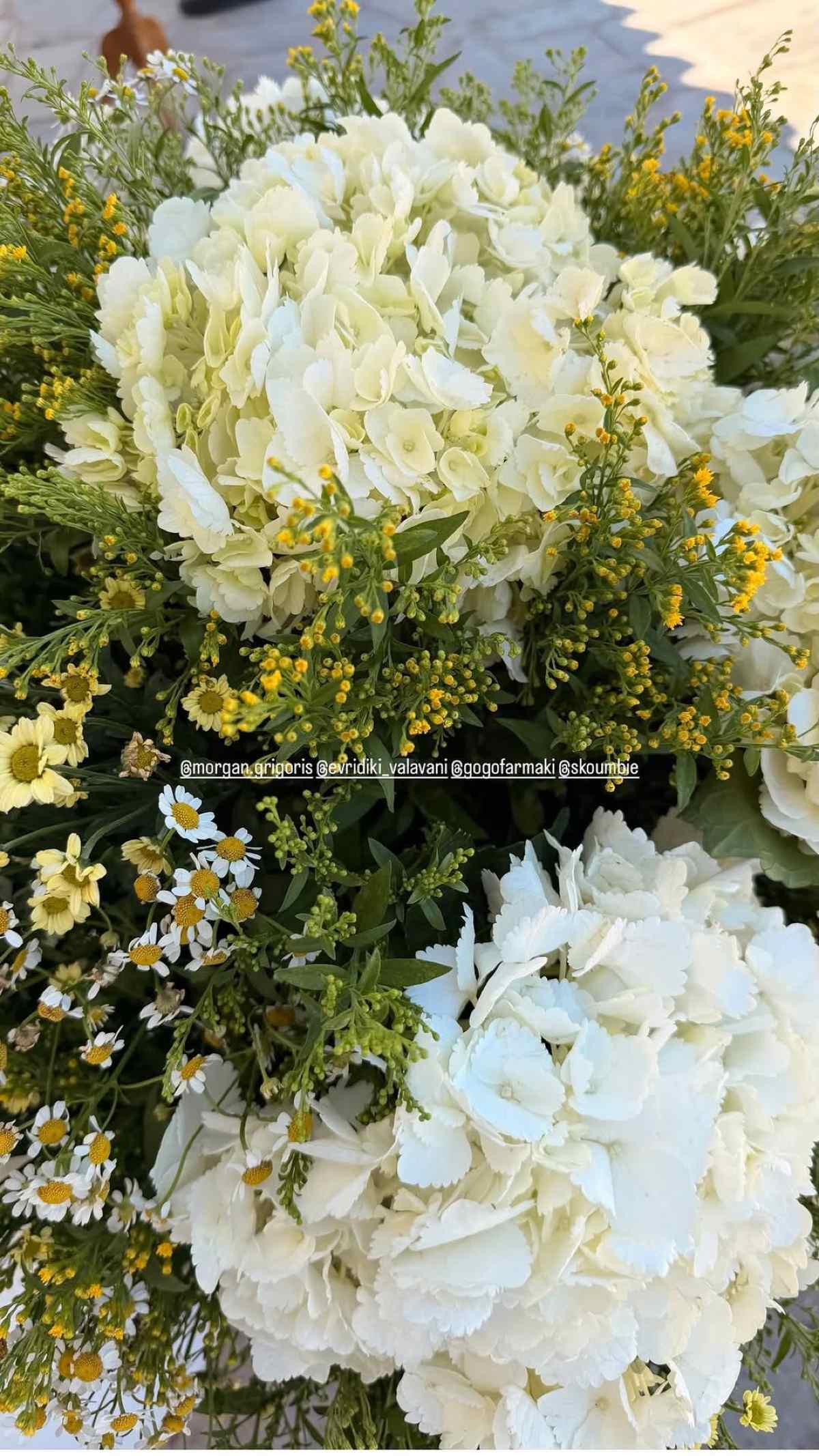 Ευρυδίκη Βαλαβάνη: «Εχθές ήταν ένα μαρτυρικό βράδυ» – Τι πέρασε με τον γιο της χωρίς τον Γρηγόρη Μόργκαν (Βίντεο) 20 Ευρυδίκη Βαλαβάνη, Γρηγόρης Μόργκαν