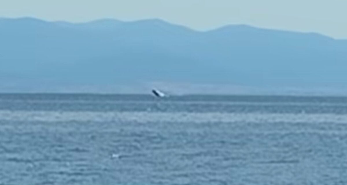 Φάλαινα κάνει βόλτες και βουτιές στην παραλία του Βόλου