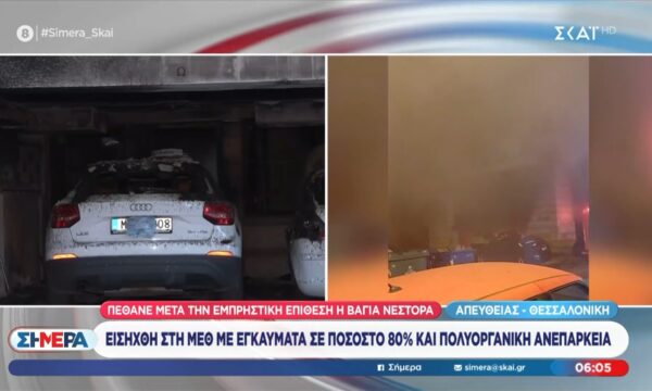 Πέθανε στη ΜΕΘ η μητέρα της Αφροδίτης Νέστορα