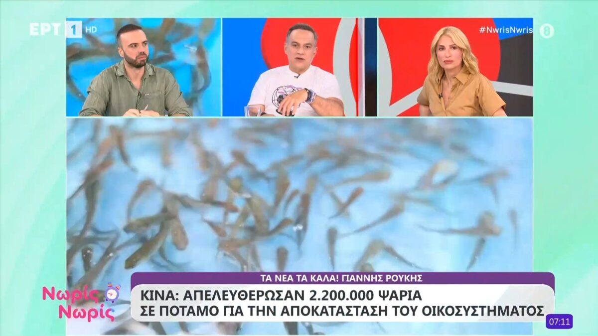 Κίνα | Απελευθέρωσαν 2.200.000 ψάρια σε ποταμό  για την αποκατάσταση του οικοσυστήματος