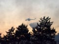 Φωτιά στην Αλεξανδρούπολη, έσπευσαν δυνάμεις της πυροσβεστικής