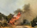 Πολύ υψηλός κίνδυνος πυρκαγιάς την Παρασκευή – Πορτοκαλί συναγερμός σε Αττική, Εύβοια, Κυκλάδες, Κρήτη και Πελοπόννησος