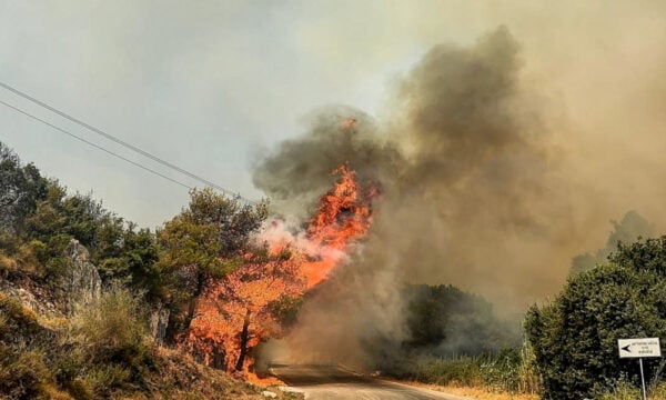 Πολύ υψηλός κίνδυνος πυρκαγιάς την Παρασκευή – Πορτοκαλί συναγερμός σε Αττική, Εύβοια, Κυκλάδες, Κρήτη και Πελοπόννησος