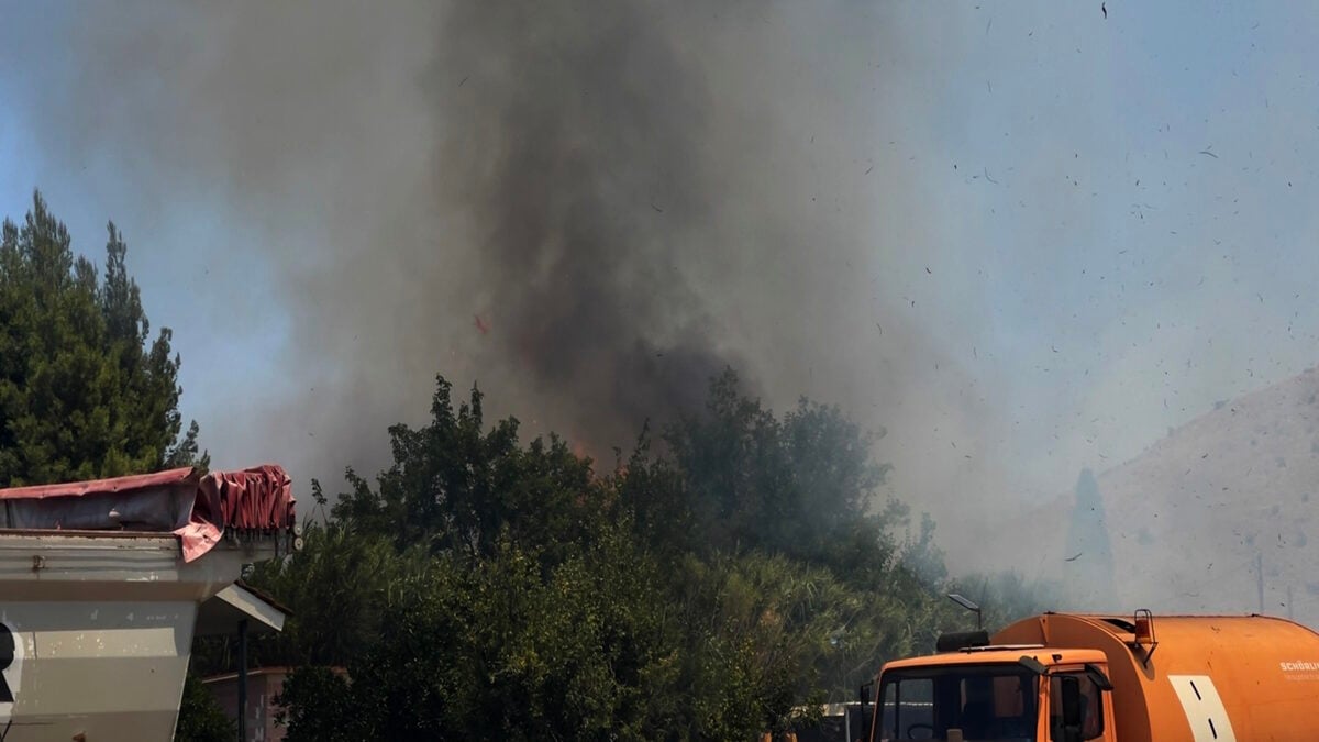 Γυναίκα συνελήφθη για πυρκαγιά σε ξερά χόρτα στην Αθήνα – Άνδρας έφαγε πρόστιμο 1.312 ευρώ στη Χίο 1 Γυναίκα συνελήφθη για πυρκαγιά σε ξερά χόρτα στην Αθήνα – Άνδρας έφαγε πρόστιμο 1.312 ευρώ στη Χίο