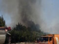 Γυναίκα συνελήφθη για πυρκαγιά σε ξερά χόρτα στην Αθήνα – Άνδρας έφαγε πρόστιμο 1.312 ευρώ στη Χίο 17 Γυναίκα συνελήφθη για πυρκαγιά σε ξερά χόρτα στην Αθήνα – Άνδρας έφαγε πρόστιμο 1.312 ευρώ στη Χίο