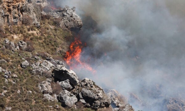 Ρέθυμνο: Οι φλόγες «άγγιξαν» το φοινικόδασος της Πρέβελης – Καλύτερη η εικόνα της μεγάλης φωτιάς