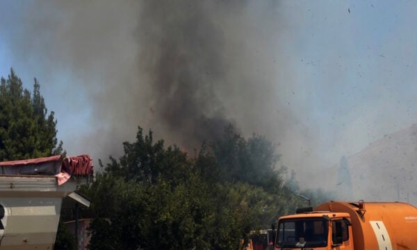 Γυναίκα συνελήφθη για πυρκαγιά σε ξερά χόρτα στην Αθήνα – Άνδρας έφαγε πρόστιμο 1.312 ευρώ στη Χίο