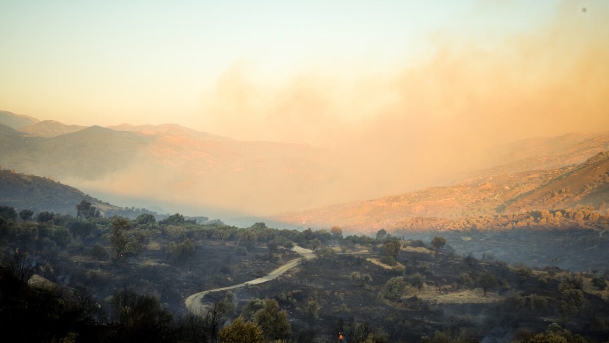 Ο καπνός από τις μεγάλες πυρκαγιές και τι δείχνουν οι δορυφορικές παρατηρήσεις – Ποιες περιοχές θα επηρεαστούν 1 Ο καπνός από τις μεγάλες πυρκαγιές και τι δείχνουν οι δορυφορικές παρατηρήσεις – Ποιες περιοχές θα επηρεαστούν