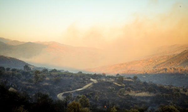 Ο καπνός από τις μεγάλες πυρκαγιές και τι δείχνουν οι δορυφορικές παρατηρήσεις – Ποιες περιοχές θα επηρεαστούν