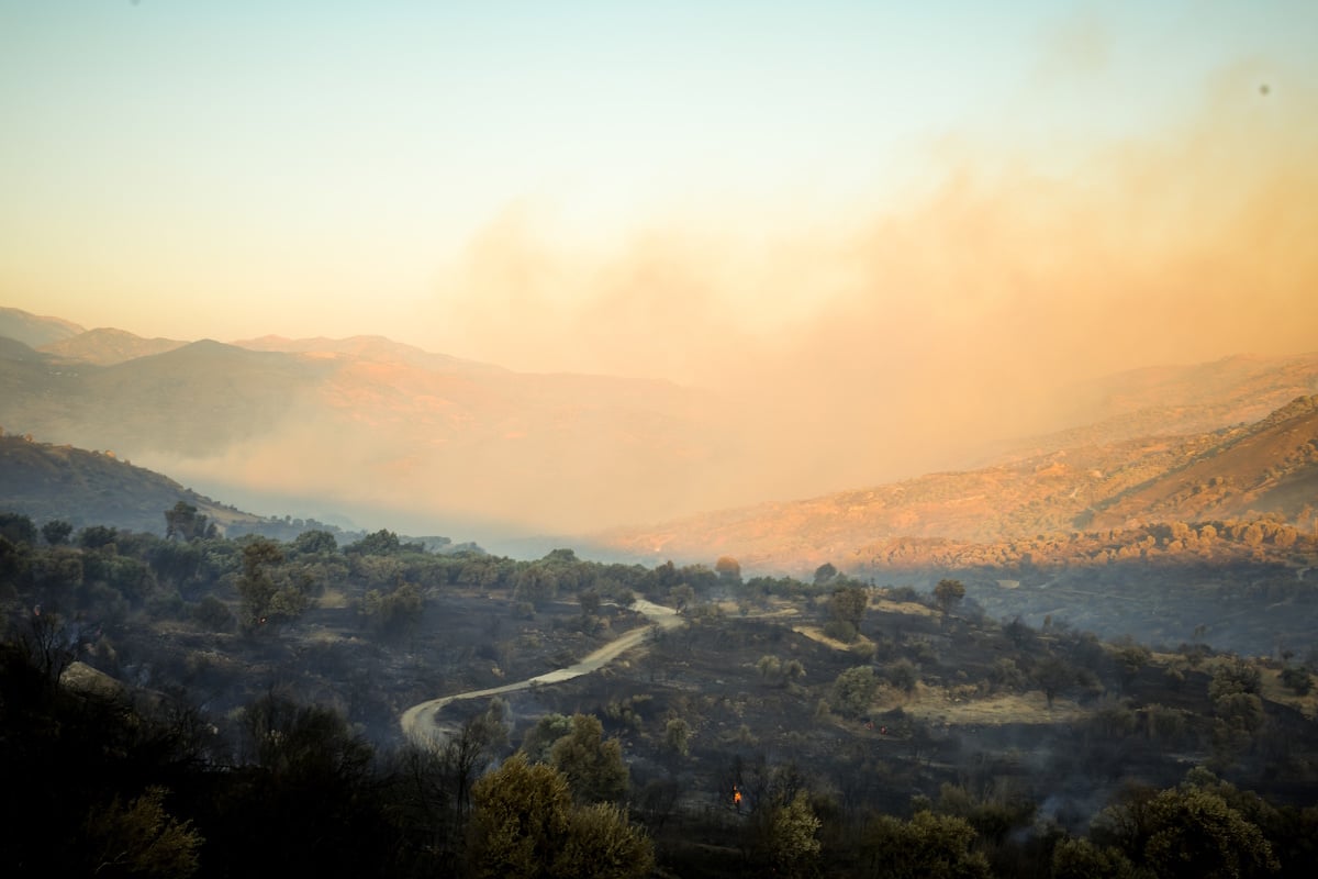 Ο καπνός από τις μεγάλες πυρκαγιές και τι δείχνουν οι δορυφορικές παρατηρήσεις – Ποιες περιοχές θα επηρεαστούν