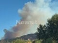 Φωτιά και στην Αχαΐα, στην περιοχή Nεραντζιές Αιγιαλείας: Ήχησε το 112 – «Παραμείνετε σε ετοιμότητα»