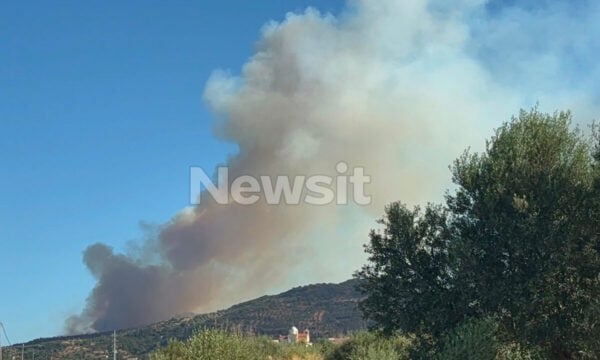 Φωτιά και στην Αχαΐα, στην περιοχή Nεραντζιές Αιγιαλείας: Ήχησε το 112 – «Παραμείνετε σε ετοιμότητα»
