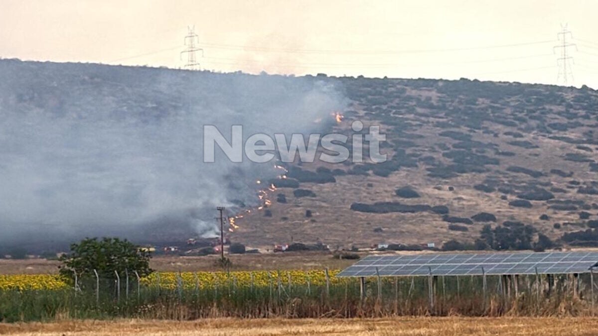Καλαπόδι Φθιώτιδας: 43χρονος με θεριζοαλωνιστική μηχανή συνελήφθη για πρόκληση πυρκαγιάς από αμέλεια 1 Καλαπόδι Φθιώτιδας: 43χρονος με θεριζοαλωνιστική μηχανή συνελήφθη για πρόκληση πυρκαγιάς από αμέλεια