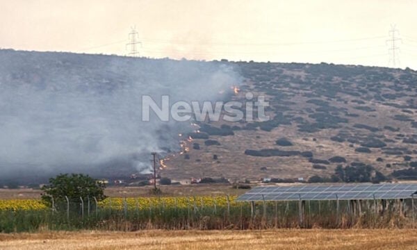 Φωτιά στο Καλαπόδι Φθιώτιδας: 43χρονος με θεριζοαλωνιστική μηχανή συνελήφθη για πρόκληση πυρκαγιάς από αμέλεια