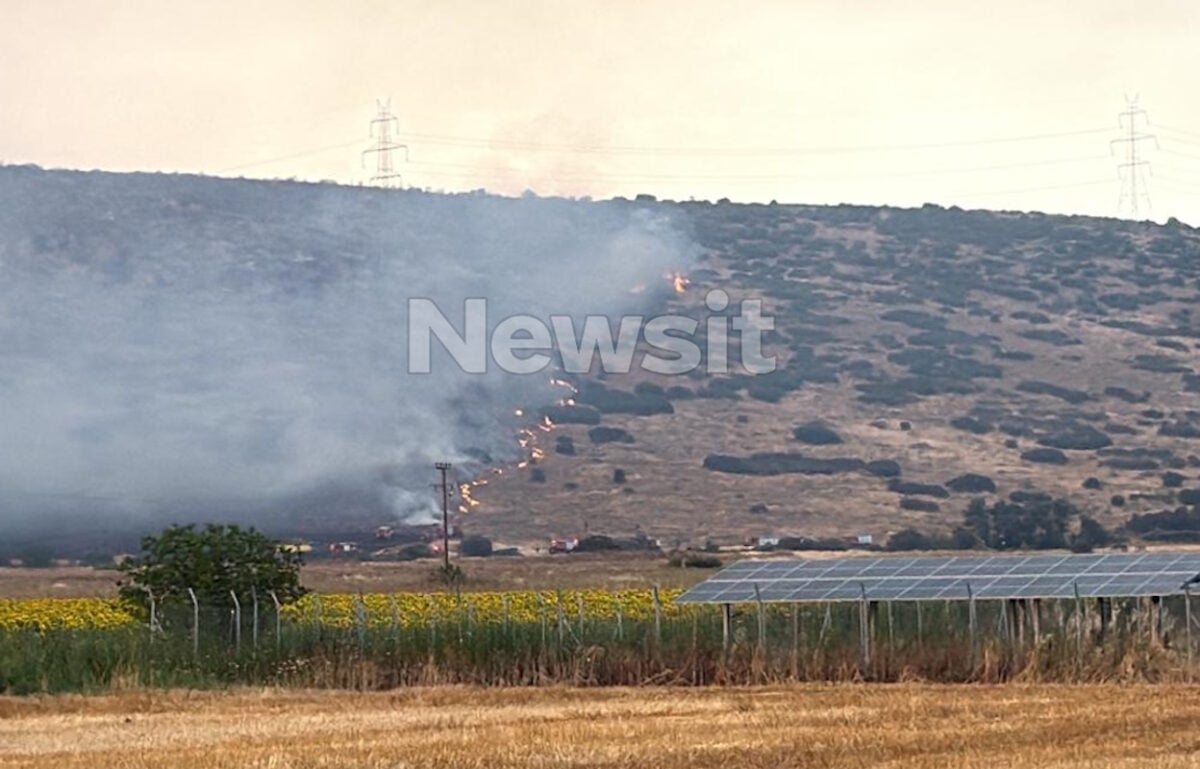 Καλαπόδι Φθιώτιδας: 43χρονος με θεριζοαλωνιστική μηχανή συνελήφθη για πρόκληση πυρκαγιάς από αμέλεια