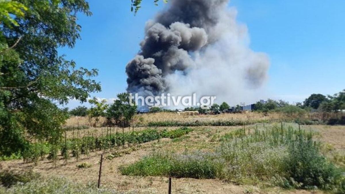 Φωτιά στο Καλοχώρι Θεσσαλονίκης – Επιχειρούν 18 πυροσβέστες 1 Φωτιά στο Καλοχώρι Θεσσαλονίκης – Επιχειρούν 18 πυροσβέστες
