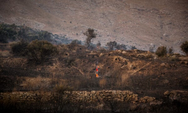 Φωτιά στο Ρέθυμνο: Σε κατάσταση έκτακτης ανάγκης ο Δήμος Αγίου Βασιλείου