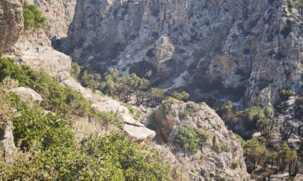 Φωτιά στο Ρέθυμνο: Περιορισμένες ζημιές στο Φοινικόδασος του Πρέβελη