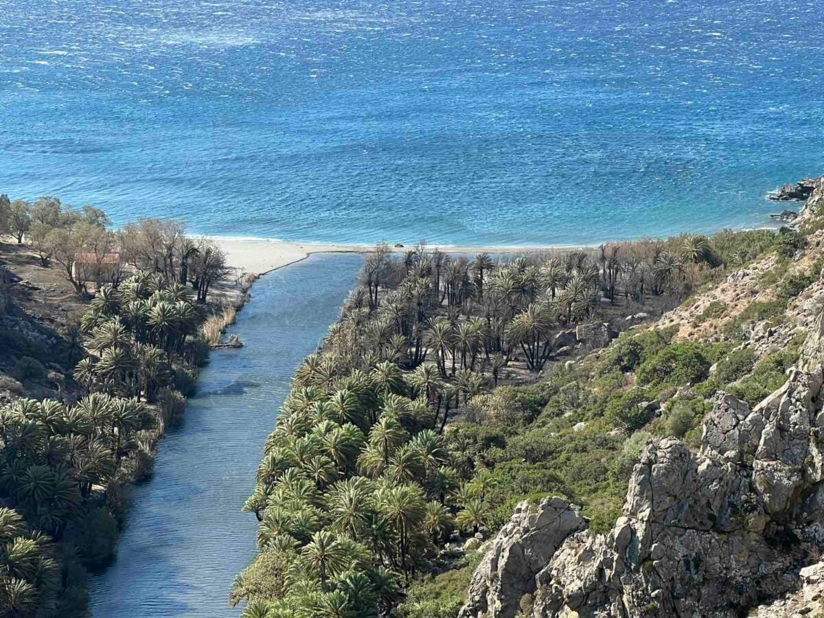 Φωτιά στο Ρέθυμνο: Περιορισμένες ζημιές στο Φοινικόδασος του Πρέβελη 8 Φοινικόδασος του Πρέβελη