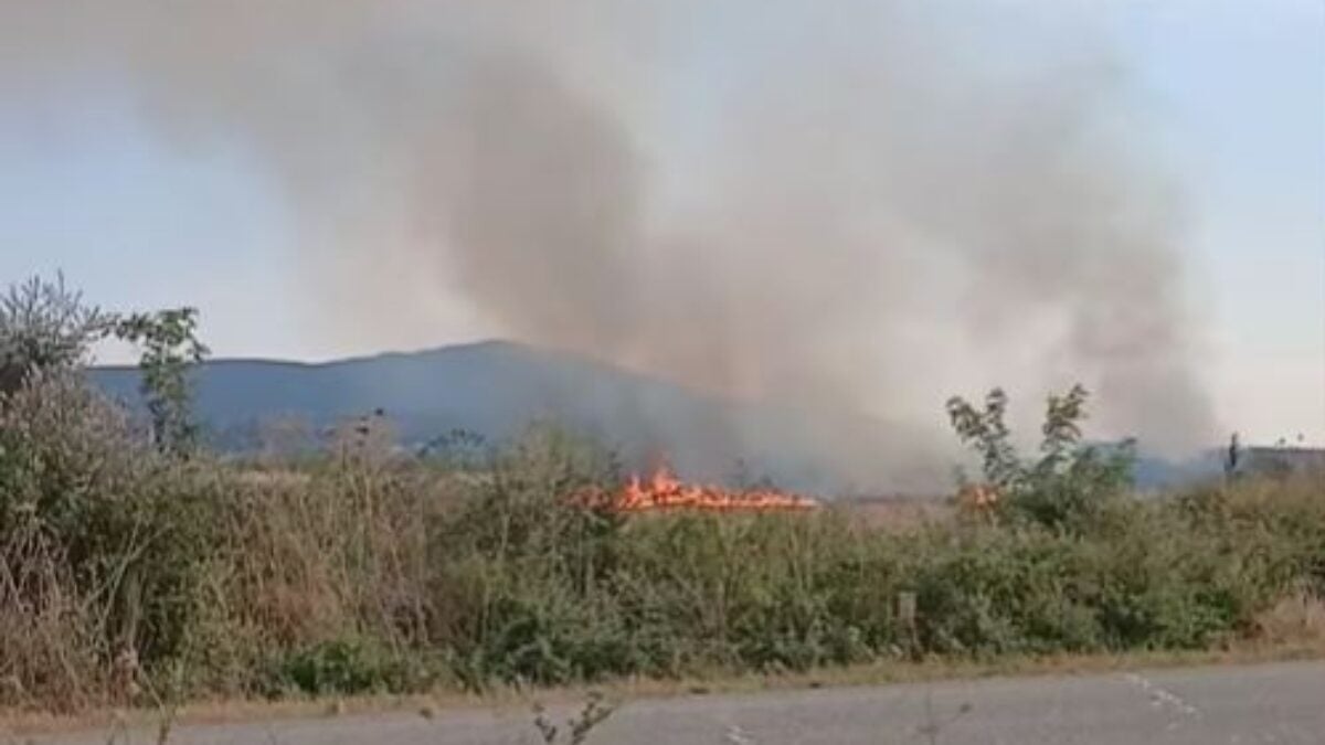 Ροδόπη: Φωτιά σε χαμηλή βλάστηση στην Εργάνη – Επιχειρούν εναέρια μέσα 1 Ροδόπη: Φωτιά σε χαμηλή βλάστηση στην Εργάνη – Επιχειρούν εναέρια μέσα